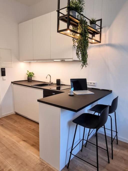 Modernes Apartment Karlsruhe Ngoại thất bức ảnh